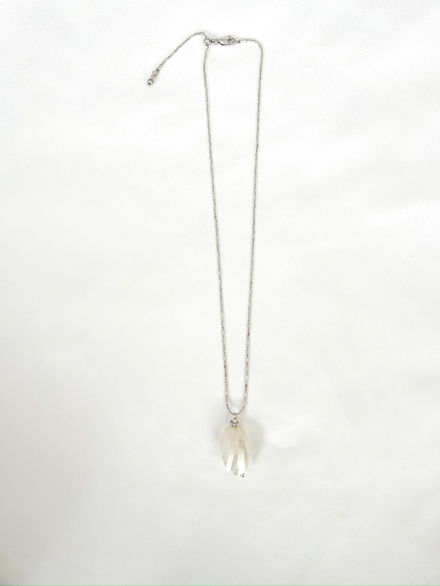 Silver Mouth Shell on Silver Chain
