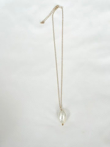 Silver Mouth Shell on Gold Chain