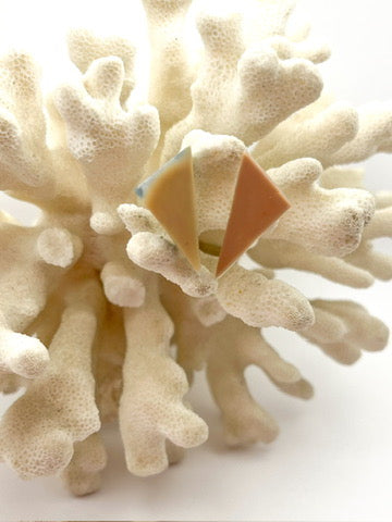 Sarai Nautilus