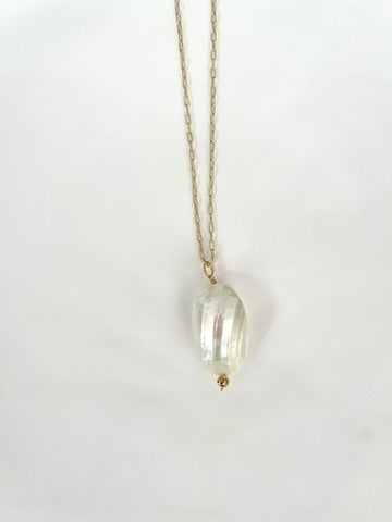 Silver Mouth Shell on Gold Chain